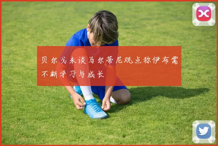 贝尔戈米谈马尔蒂尼观点称伊布需不断学习与成长
