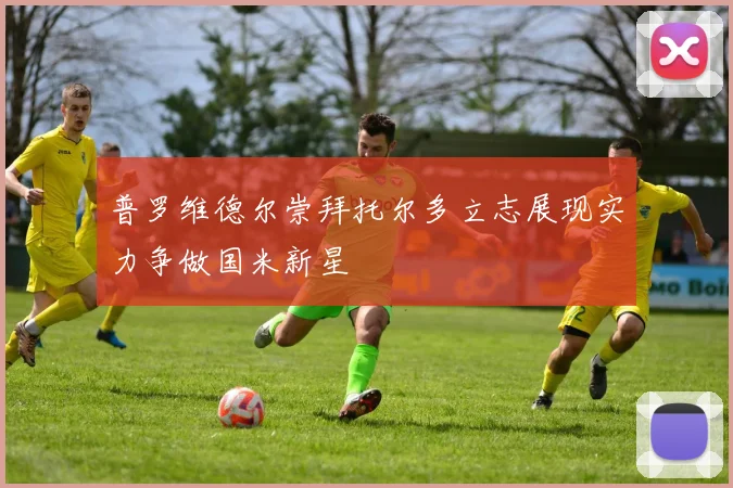 普罗维德尔崇拜托尔多立志展现实力争做国米新星
