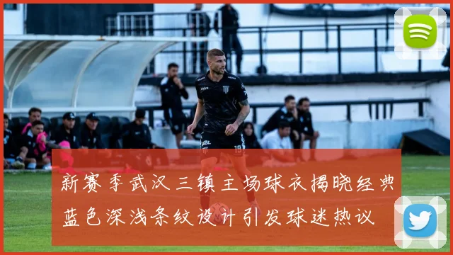 新赛季武汉三镇主场球衣揭晓经典蓝色深浅条纹设计引发球迷热议