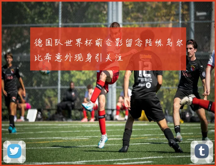 德国队世界杯前合影留念陪练乌尔比希意外现身引关注
